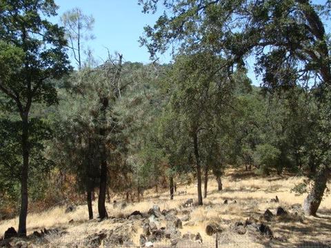 20550 Tuttletown Rd, Sonora, CA 95370 photo 7