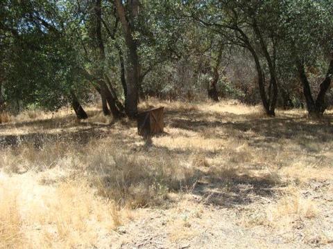 20550 Tuttletown Rd, Sonora, CA 95370 photo 25