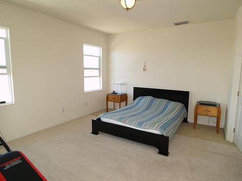 1672 Wild Ginger Way, Manteca, CA 95337 photo 23