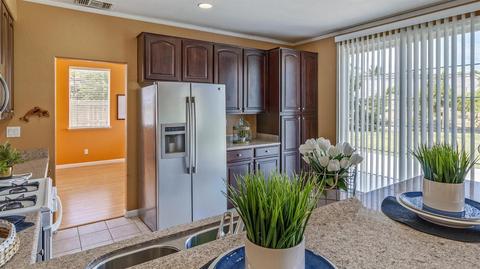 35 Travertine Ct, Lathrop, CA 95330 photo 8