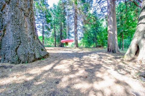 5341 Robert Rd, Pollock Pines, CA 95726 photo 26
