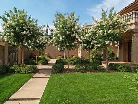 7440 River Nine Dr, Modesto, CA 95356 photo 8