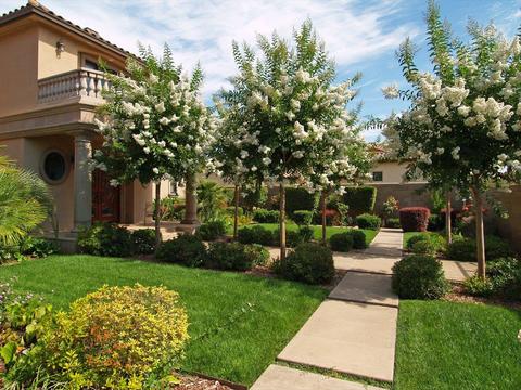7440 River Nine Dr, Modesto, CA 95356 photo 9
