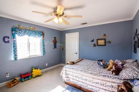 10485 Browning St, Elverta, CA 95626 photo 24