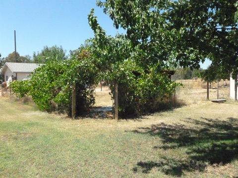 3051 E Collier Rd, Acampo, CA 95220 photo 34