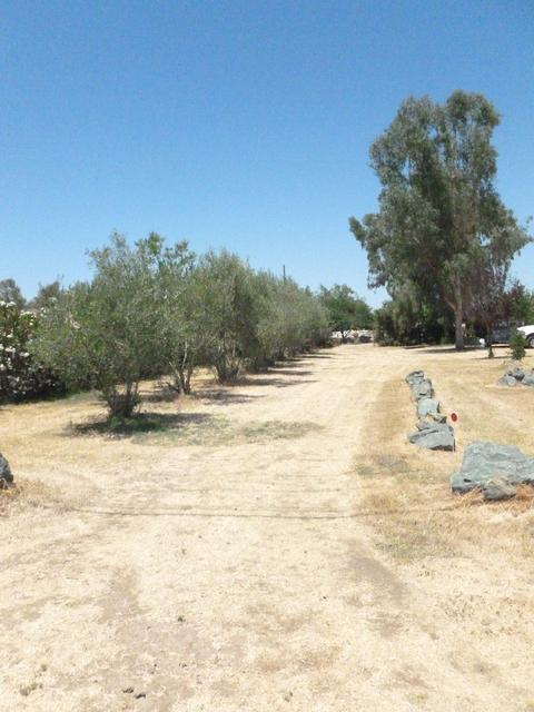 3051 E Collier Rd, Acampo, CA 95220 photo 5