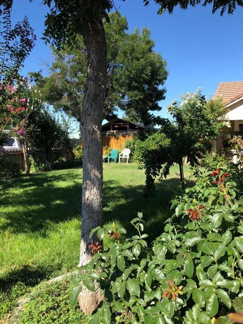 1893 5th St, Turlock, CA 95380 photo 5