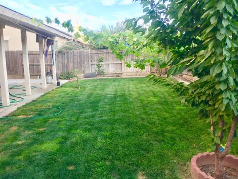 2205 Amber Leaf, Ceres, CA 95307 photo 33