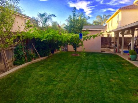 2205 Amber Leaf, Ceres, CA 95307 photo 34