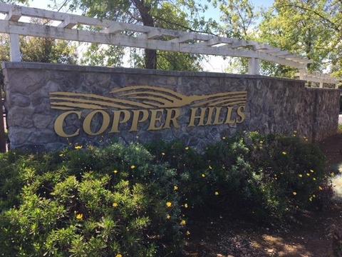 111 Pheasant Run, Copperopolis, CA 95228 photo 1