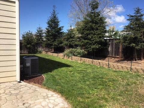 111 Pheasant Run, Copperopolis, CA 95228 photo 17