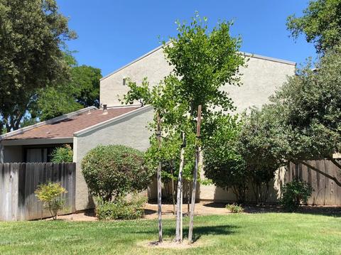 3215 Bermuda Ave #1, Davis, CA 95616 photo 1