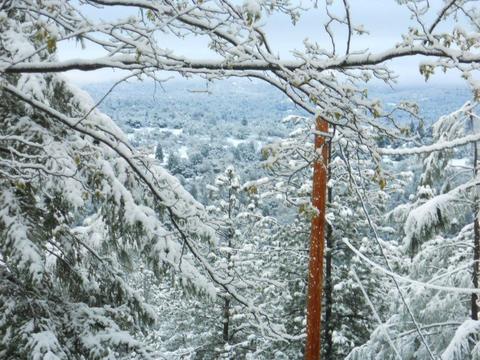 2315 Sand Ridge Rd, Placerville, CA 95667 photo 19