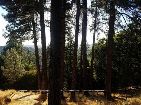 2315 Sand Ridge Rd, Placerville, CA 95667 photo 35
