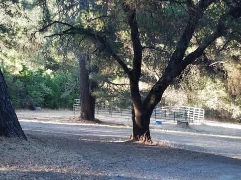 2315 Sand Ridge Rd, Placerville, CA 95667 photo 11