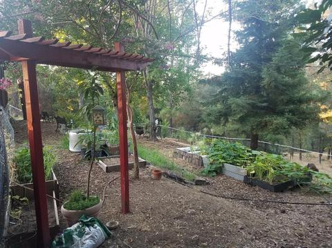 2315 Sand Ridge Rd, Placerville, CA 95667 photo 7