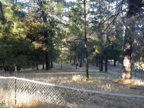 2315 Sand Ridge Rd, Placerville, CA 95667 photo 36
