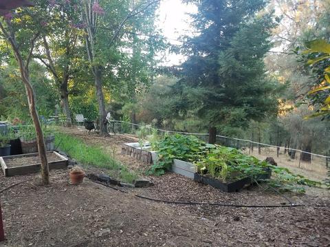 2315 Sand Ridge Rd, Placerville, CA 95667 photo 8