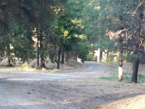 2315 Sand Ridge Rd, Placerville, CA 95667 photo 6