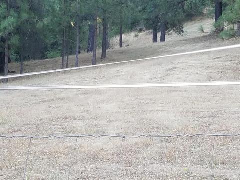 2315 Sand Ridge Rd, Placerville, CA 95667 photo 13