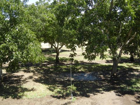 18190 Arrigone Way, Linden, CA 95236 photo 16