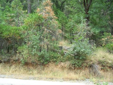 2800 Eganhoff Ln, West Point, CA 95255 photo 6