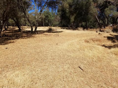 181 Pine Tree Cir, Pilot Hill, CA 95664 photo 29