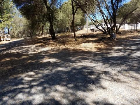 181 Pine Tree Cir, Pilot Hill, CA 95664 photo 30