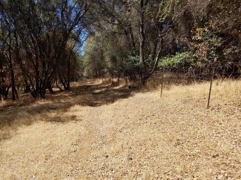 181 Pine Tree Cir, Pilot Hill, CA 95664 photo 28