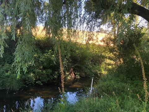511 Clinton Rd, Jackson, CA 95642 photo 18