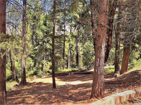 460 Cedar Ln, West Point, CA 95255 photo 26