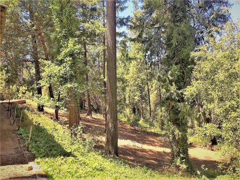 460 Cedar Ln, West Point, CA 95255 photo 25