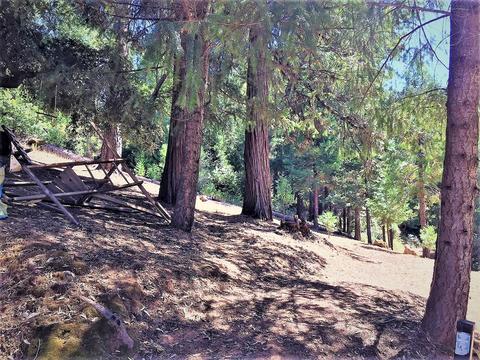 460 Cedar Ln, West Point, CA 95255 photo 30