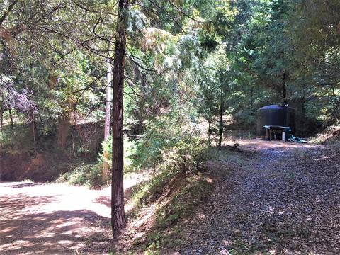 460 Cedar Ln, West Point, CA 95255 photo 21