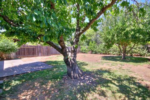 3321 Biscayne Bay Pl, Davis, CA 95616 photo 24