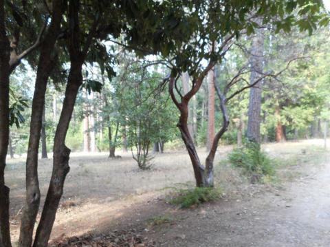 1062 Winton Rd, West Point, CA 95255 photo 4