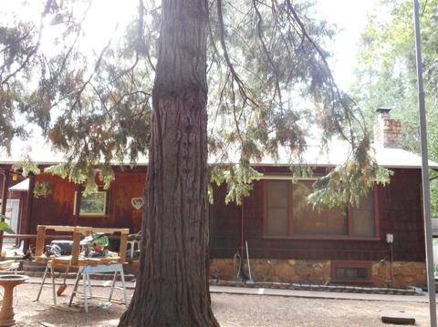 1062 Winton Rd, West Point, CA 95255 photo 2