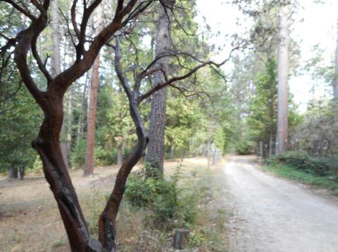 1062 Winton Rd, West Point, CA 95255 photo 5