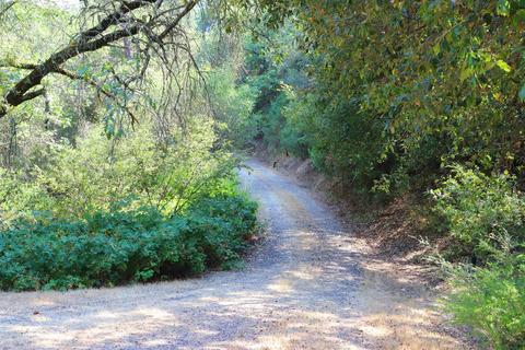 15571 Sutter Creek Rd, Sutter Creek, CA 95685 photo 21