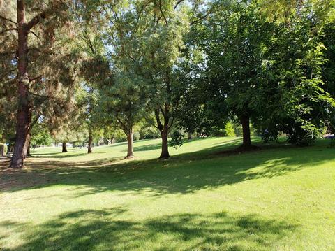 2066 N Alta Loma St, Davis, CA 95616 photo 31