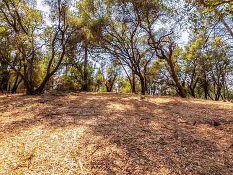 2794 Stone Ln, Placerville, CA 95667 photo 29