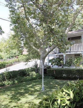 85 Gold St, Sonora, CA 95370 photo 22