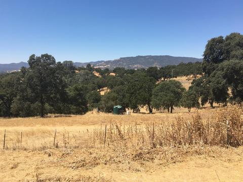 5906 Fourth Xing, San Andreas, CA 95249 photo 3