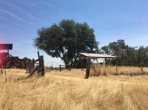 5906 Fourth Xing, San Andreas, CA 95249 photo 11