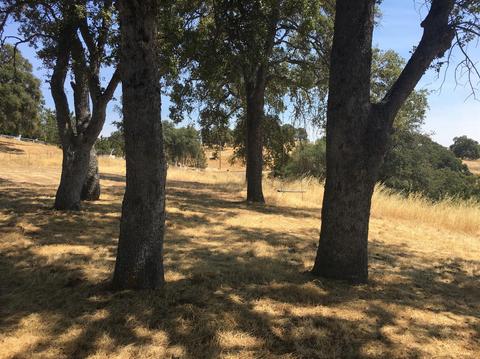 5906 Fourth Xing, San Andreas, CA 95249 photo 2