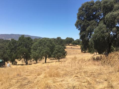 5906 Fourth Xing, San Andreas, CA 95249 photo 15