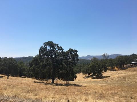 5906 Fourth Xing, San Andreas, CA 95249 photo 17