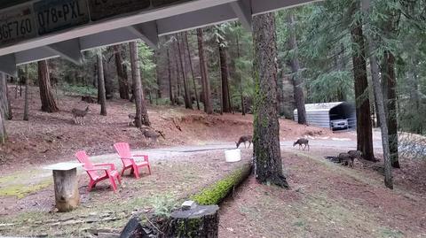 5081 Brighton Rd, Placerville, CA 95667 photo 24