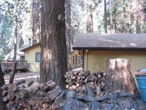 3145 Easy St, Pollock Pines, CA 95726 photo 16