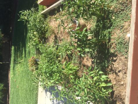 2710 Ancestry St, Manteca, CA 95337 photo 15